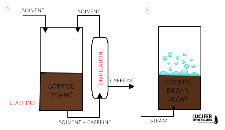 tradizional decaf